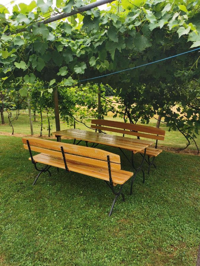 Urlaub Fuer Die Seele - Erholung Pur In Der Natur - Ferienhaus Mit Infrarotkabine & Relax-Raum Rucmanci Екстериор снимка